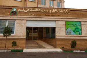 کدام بیمه ها هزینه های درمان ناباروری را پوشش می دهند؟!